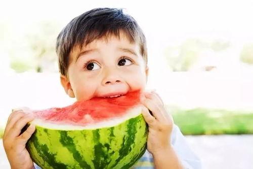 娱乐吃瓜君高情商,娱乐界的智慧解读