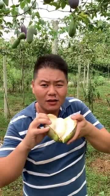 娱乐吃瓜酱大山里